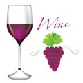 Glass of wine - Bunches of grapes vector Royalty Free Stock Photo