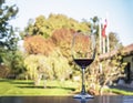 Glass of wine in a Chilean Vineyard - Santiago, Chile Royalty Free Stock Photo