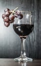 A glass of wine with a cluster of grapes Royalty Free Stock Photo