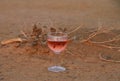 Glass of wine on dry African soil