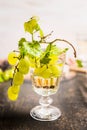 Glass of wine with fresh grapes on a branch inside on dark wooden background close up Royalty Free Stock Photo