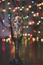 Glass of wine on garland christmas background Royalty Free Stock Photo