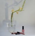 Still life with nail polish and lipstick Royalty Free Stock Photo