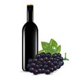 Glass of wine and grape isolated