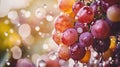 glass of wine grapes close-up. selective focus Royalty Free Stock Photo