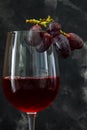 A glass of wine with grapes on a dark background Royalty Free Stock Photo