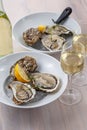 Glass of wine and plate of oysters on ice with lemon Royalty Free Stock Photo