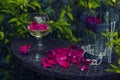 A glass of wine and red rose petals on a table in the garden. Birdcage and pearl beads. Royalty Free Stock Photo