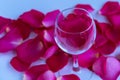 A glass of wine with rose petals inside. Everything is covered with rose petals. Pink and blue tones. Concept, love, loneliness,