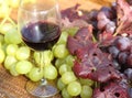 Glass of wine with white grapes and great bunch of black grapes