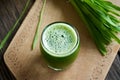 A glass of young barley grass juice with fresh blades Royalty Free Stock Photo