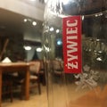 Glass of Zywiec - Polish beer Royalty Free Stock Photo