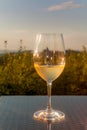 Glasse with white cold wine during sunset time