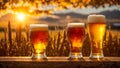 Glasses beer against the backdrop a cold of beverage mug evening outdoor land nature Royalty Free Stock Photo