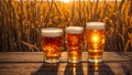 Glasses of beer against the backdrop a field of barley mug evening outdoor drink Royalty Free Stock Photo
