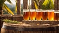 Glasses beer against the backdrop lifestyle rustic of beverage mug evening outdoor land nature Royalty Free Stock Photo