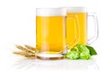 Glasses of beer with Green hops and ears of barley Royalty Free Stock Photo