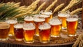 glasses with beer wooden background, ears corn drink alcohol golden brewery