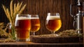 glasses with beer on a wooden background, ears of corn light lager