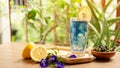 A glasses of Blue Butterfly pea flower juice drinking, decorated with yellow lemon sliced and fresh and dry Asian pigeon wings Royalty Free Stock Photo