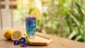 A glasses of Blue and violet color Butterfly pea flower juice drinking, decoreted with yellow lemon sliced and fresh flower Royalty Free Stock Photo