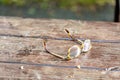 Glasses on a brown park table