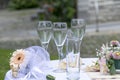 Image of empty glasses of champagnes and water for party Royalty Free Stock Photo