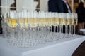 Glasses of champagne at the Banquet, white sparkling wine in wine glasses, festive mood Royalty Free Stock Photo