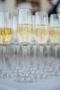 Glasses of champagne at the Banquet, white sparkling wine in wine glasses, festive mood Royalty Free Stock Photo