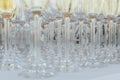 Glasses of champagne at the Banquet, white sparkling wine in wine glasses, festive mood Royalty Free Stock Photo