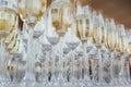 Glasses of champagne at the Banquet, white sparkling wine in wine glasses, festive mood Royalty Free Stock Photo