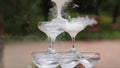 Glasses Of Champagne Smoking. Champagne glasses. Smoke Billowing Over A Champagne Flute. Catering service. Wedding slide