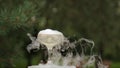 Glasses Of Champagne Smoking. Champagne glasses. Smoke Billowing Over A Champagne Flute. Catering service. Wedding slide