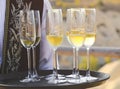 Glasses of champagne on a tray Royalty Free Stock Photo