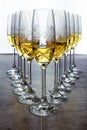 Glasses of champagne or wine aligned on the bar restaurant Royalty Free Stock Photo