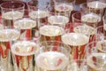 Glasses of champaign Royalty Free Stock Photo