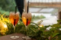 Glasses with cocktail on a table. Drinks with orange juice and two black straws. Summertime, concept of relax, alcohol drinks,