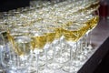 Glasses with a cool delicious white wine at the bar. Alcohol background. Royalty Free Stock Photo