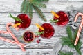 Glasses with cranberry juice. Cranberries, limes, rosemary. On a rustic background. Top view. Royalty Free Stock Photo