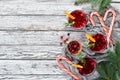 Glasses with cranberry juice. Cranberries, limes, rosemary. On a rustic background. Top view. Free space Royalty Free Stock Photo