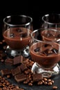 Glasses of cream coffee cocktail or chocolate martini on black b Royalty Free Stock Photo