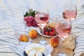 Glasses of delicious rose wine, flowers and food on white picnic blanket Royalty Free Stock Photo