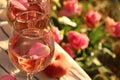 Glasses of delicious rose wine with petals outside, closeup. Space for text Royalty Free Stock Photo