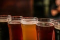 Glasses of different beer on dark background closeup Royalty Free Stock Photo