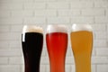 Glasses with different types of cold tasty beer Royalty Free Stock Photo