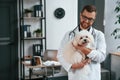 In glasses. Doctor in white coat is standing and holding maltese dog in hands. In the clinic