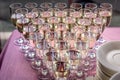 Glasses filled with champagne, close-up. Rows of glasses of white wine at festive dinner. Welcome drink Royalty Free Stock Photo