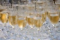 Glasses filled with champagne, ready to be served