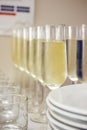 glasses filled with champagne stand in a row Royalty Free Stock Photo