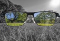 Through glasses frame. Colorful view of landscape in glasses and monochrome background. Different world perception